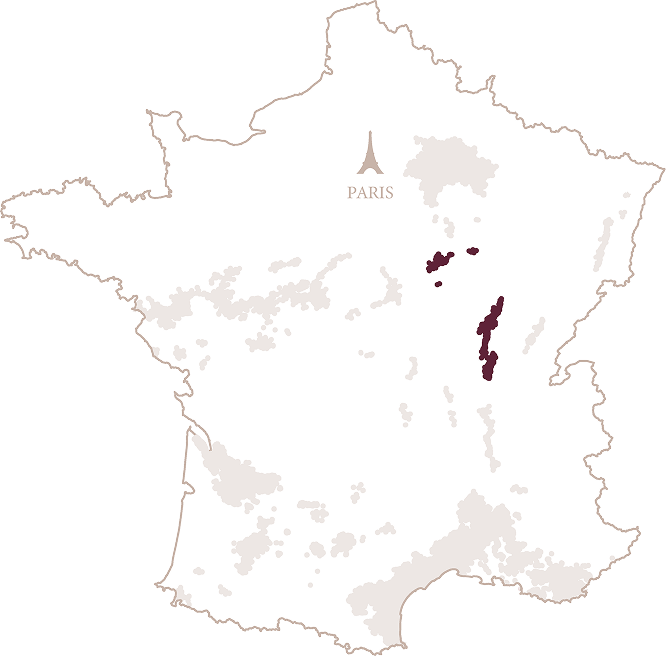 BOURGOGNE