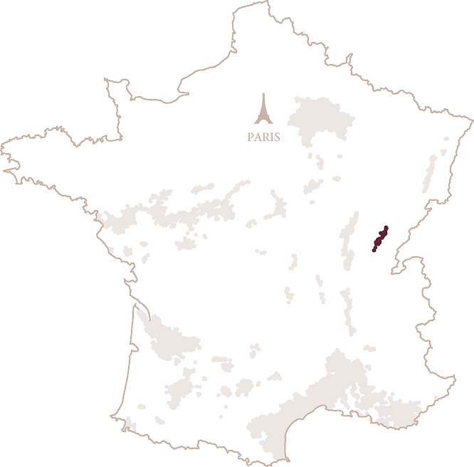 JURA