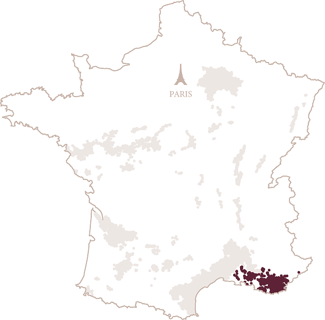 PROVENCE
