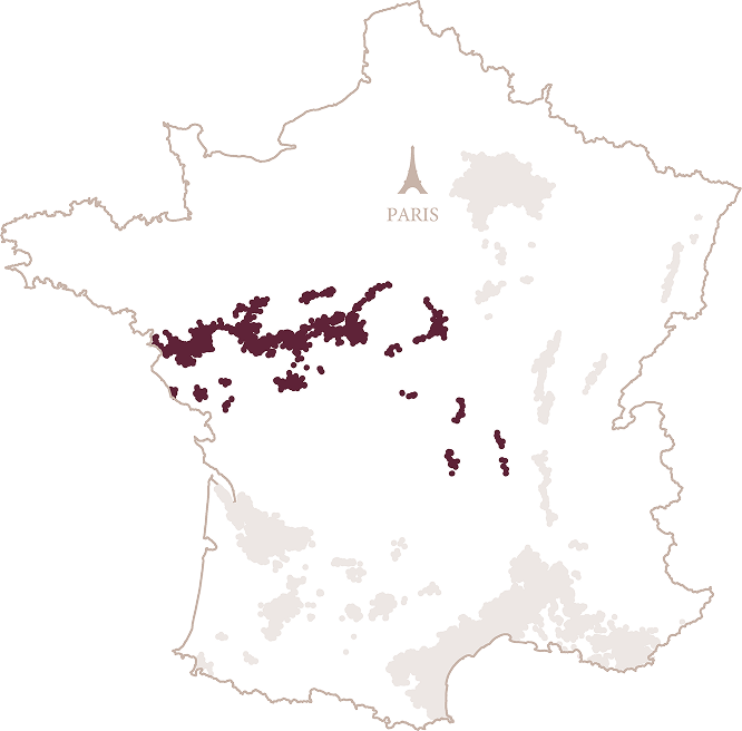VAL DE LOIRE